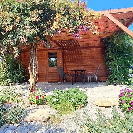 Villa Soroni מראה חיצוני תמונה